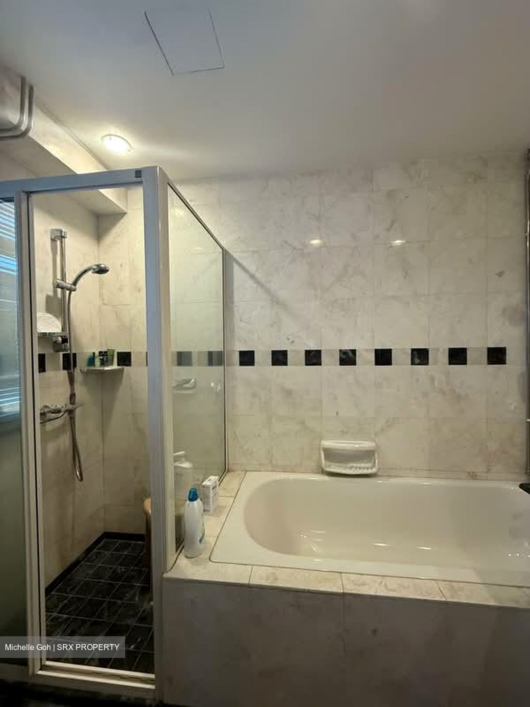 Evergreen Park (D19), Apartment #577822011